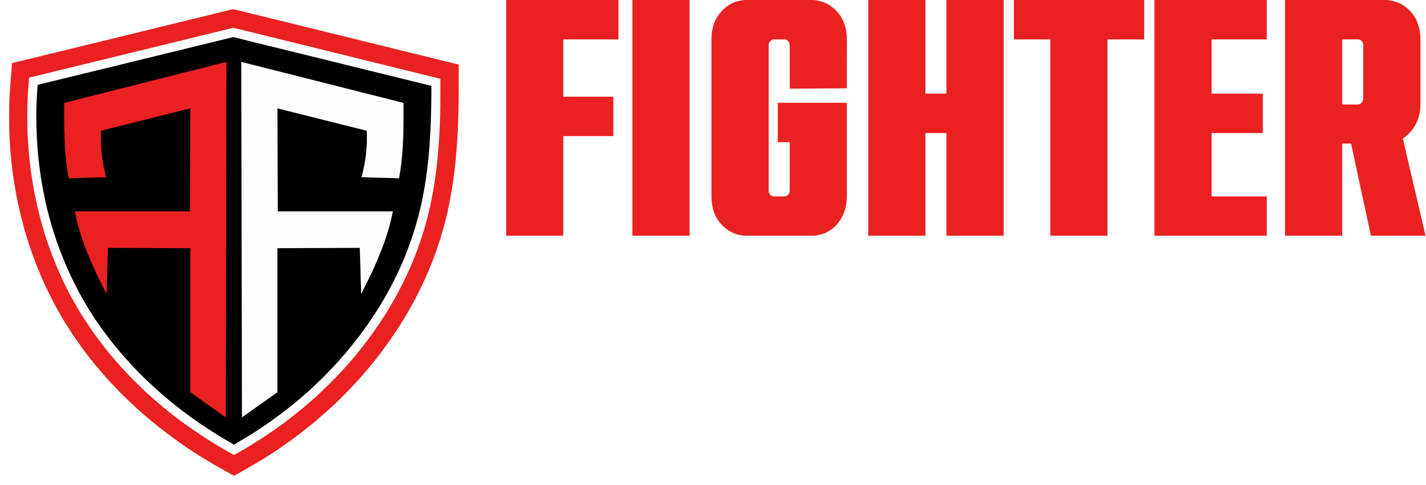 Fighter Focus